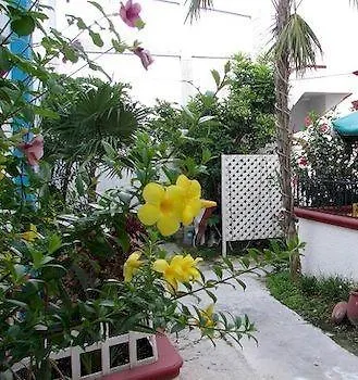 Alicia's Cozumel