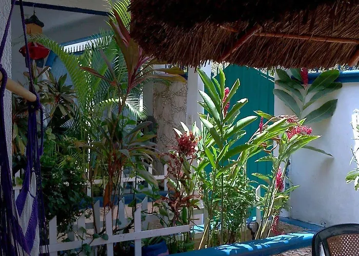 Alicia's Hotel
