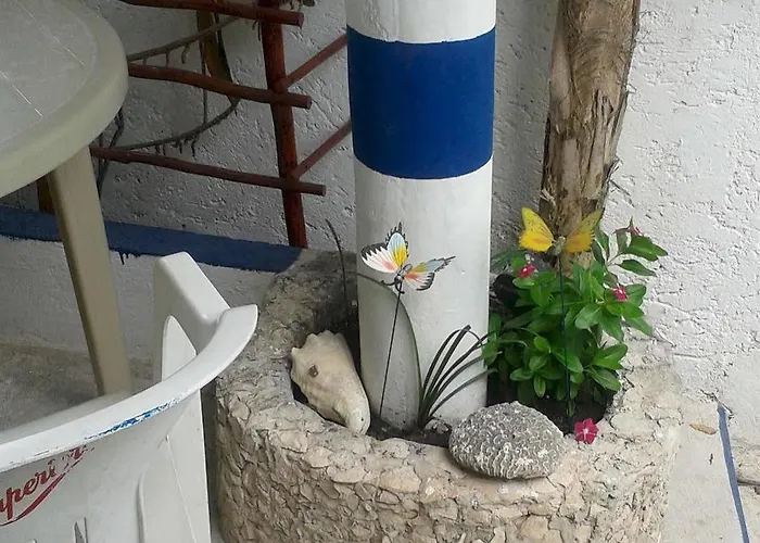 Hotel Alicia's Cozumel